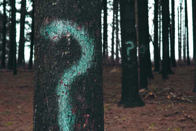 Image for article Zapytaj o to na rozmowie rekrutacyjnej