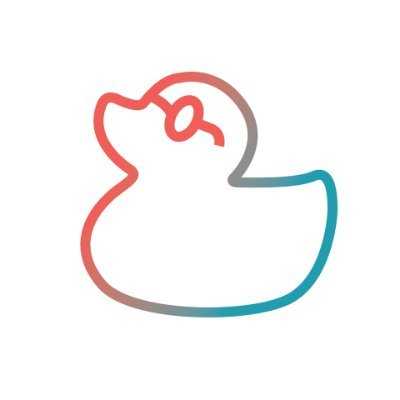 Afternoon with IT - Understanding the programmer